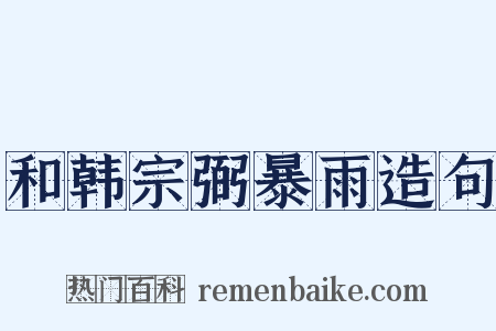 和韩宗弼暴雨造句是什么意思的图片
